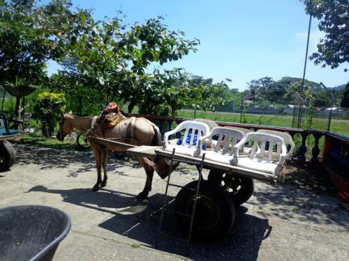 Lodge Acuali Ecohostal