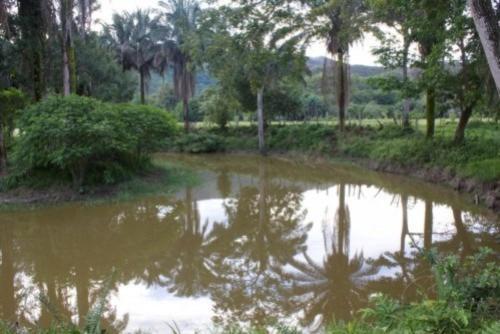 Viviendas Turisticas Hacienda Las Margaritas
