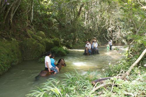 Viviendas Turisticas Hacienda Las Margaritas