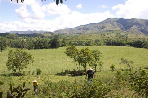 Viviendas Turisticas Hacienda Las Margaritas