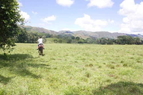 Viviendas Turisticas Hacienda Las Margaritas