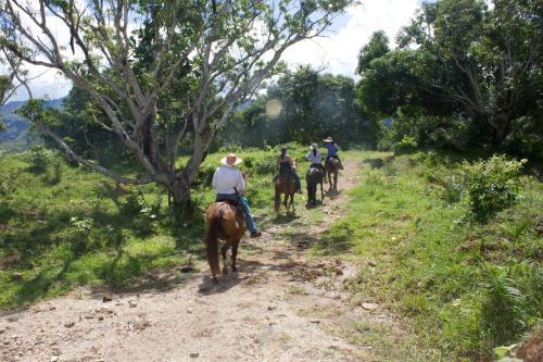 Viviendas Turisticas Hacienda Las Margaritas