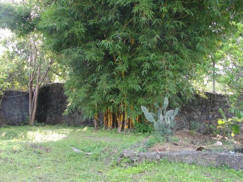 Las Casitas Tepoztl�n