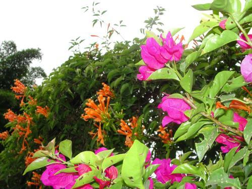 Las Casitas Tepoztl�n
