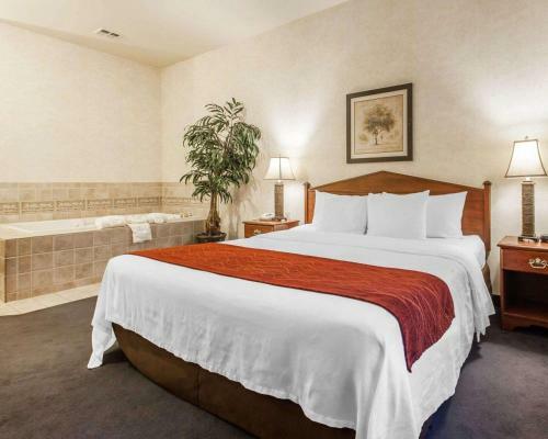 Hotel Comfort Inn Conference Center Tumwater
