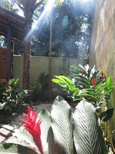 Hostal Pousada Da Villa Itamambuca