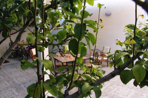 Bed & Breakfast Il Giardinetto