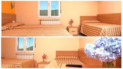 Hostal Pension Europa