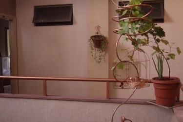 Hotel Hotelo