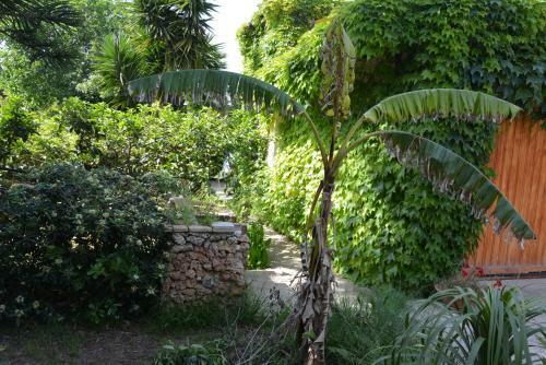 Apartamento Tra Il Verde E Il Mare