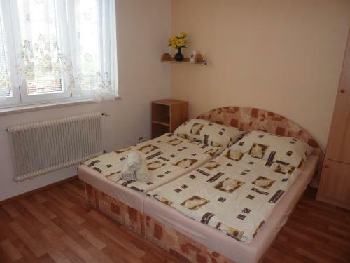 Hostal Penzion ?ech