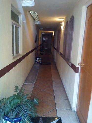 Hotel Avenida
