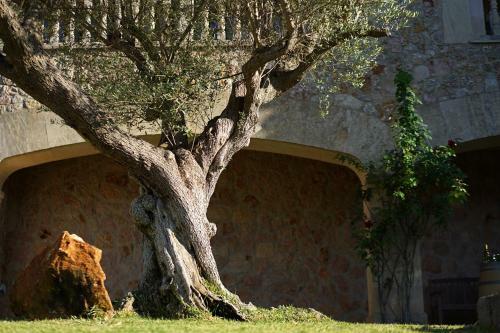 Villa Llop