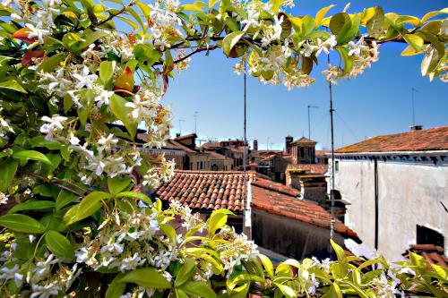 Bed & Breakfast Ca' San Giorgio