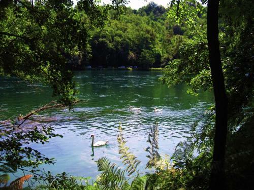 Ticino Riviera Due Piccolo