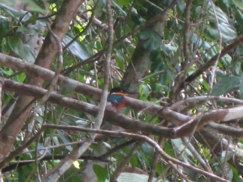 Lodge Caba�as Ecologicas Tumben Ha