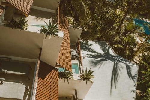 Jashita Hotel