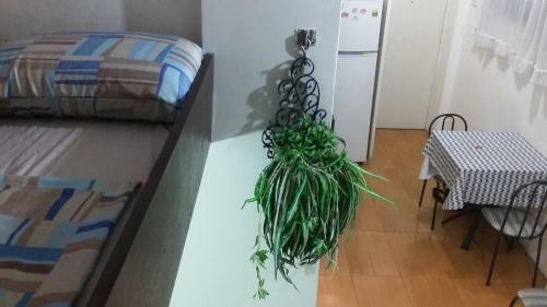 Apartamento Studio Em Copacabana