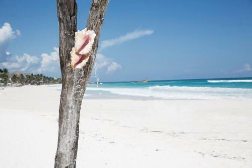 Hotel Coco Tulum