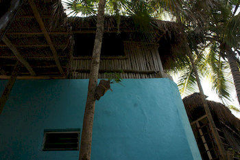 Hotel My Tulum Cabanas