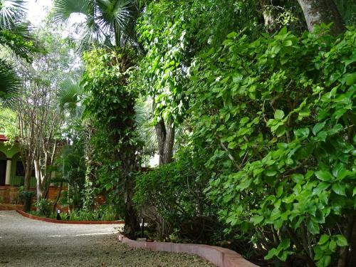 Bed & Breakfast The Flycatcher Inn Boutique Hotel