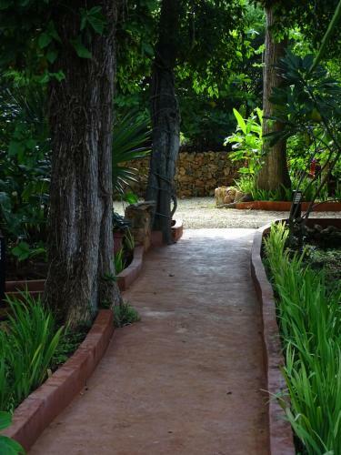 Bed & Breakfast The Flycatcher Inn Boutique Hotel