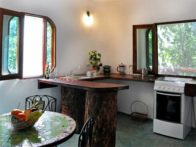 Lodge Jolie Jungle