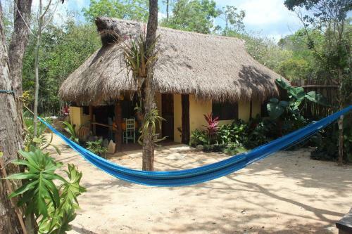 Bed & Breakfast Casa Selva Orquideas