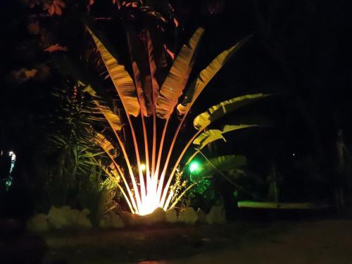 Bed & Breakfast Casa Selva Orquideas