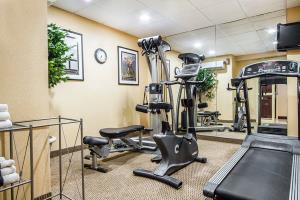 Hotel Comfort Inn & Suites Scarborough