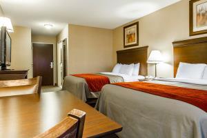 Hotel Comfort Inn & Suites Scarborough