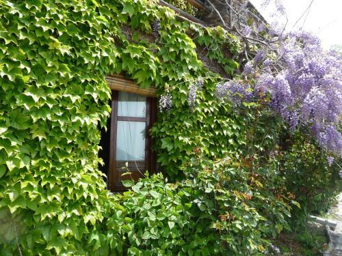 Agroturismo Cortijo Catifalarga Alpujarra
