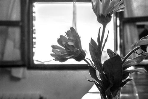 Agroturismo Cortijo Catifalarga Alpujarra