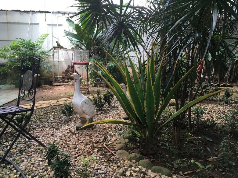 Panama House Bed & Breakfast