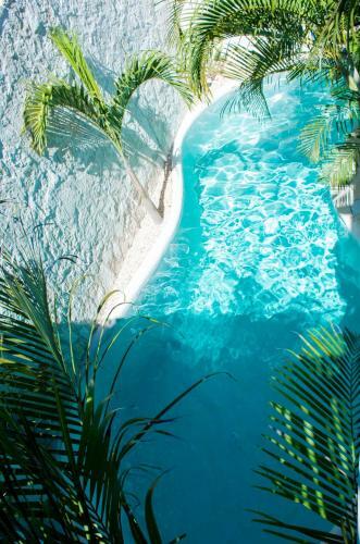 Bed & Breakfast Pacha Tulum