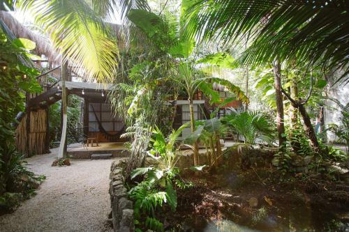 Bed & Breakfast Tunich Jungle Caba�as