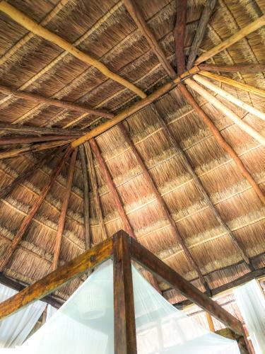 Bed & Breakfast Tunich Jungle Caba�as