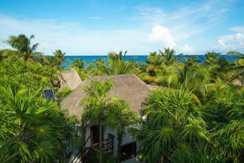 Apartamento Playa Selva