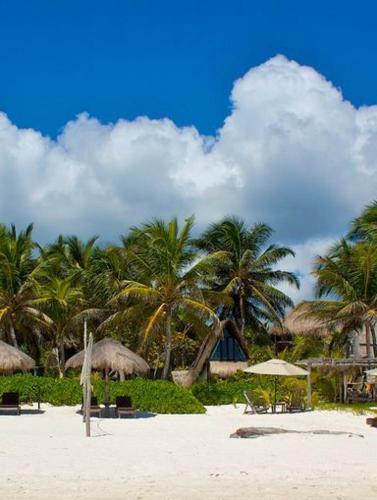 Apartamento Playa Selva