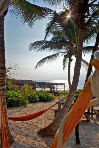 Apartamento Playa Selva