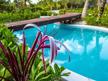 Hotel The Beach Tulum