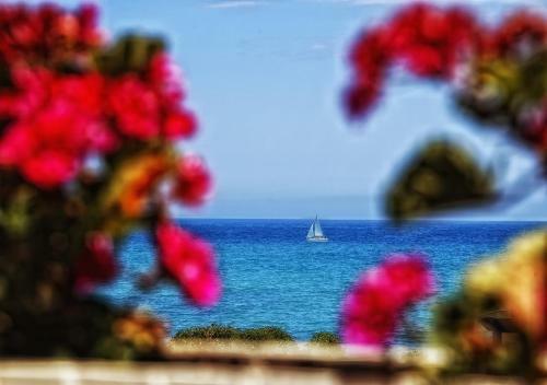 Hostal Pensi�n Provenzal
