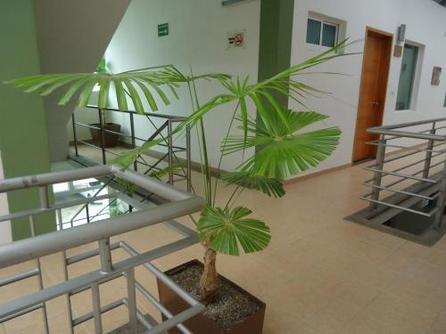 Hotel Santo Domingo Express