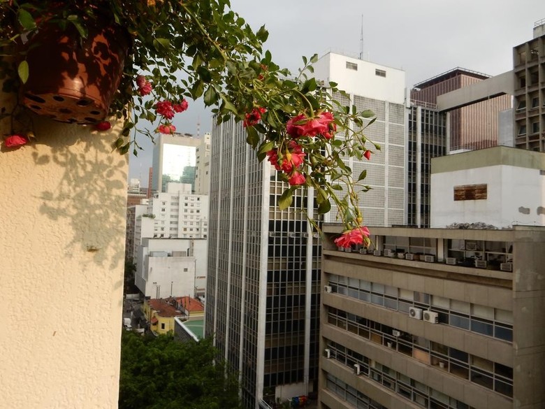 Apartamento Haddock Lobo