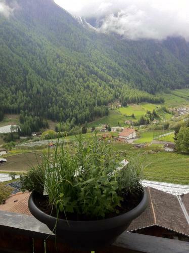 Apartamento Flurahof
