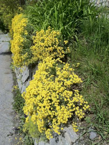 Apartamento Flurahof