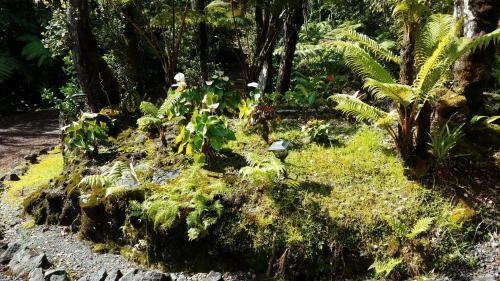 Hostal Alii Kane Cottage With Loft