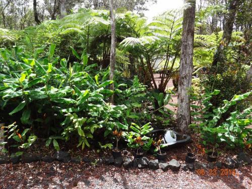 Hostal Alii Kane Cottage With Loft