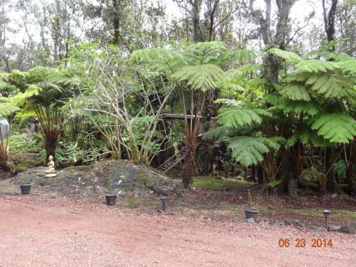 Hostal Alii Kane Cottage With Loft
