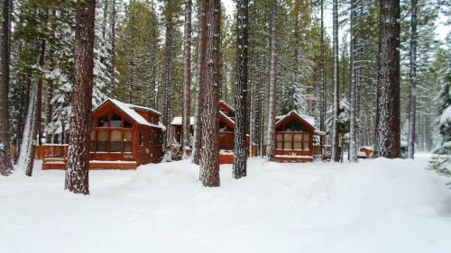Cedar Pines Resort